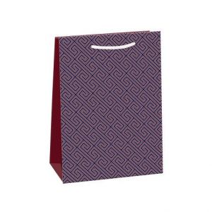 ARGUS Dárková papírová taška T5 (23 x 32 cm) 07570766