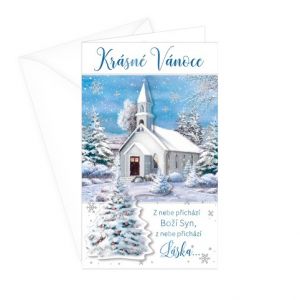 ARGUS Vánoční přání 11-6359c