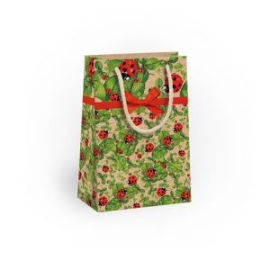 ARGUS Dárková papírová taška (10 x 16 cm) 07140076