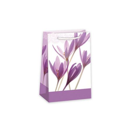 ARGUS Dárková papírová taška (10 x 16 cm) 07170630