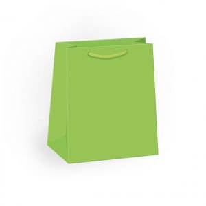 ARGUS Papírová dárková taška 07410001