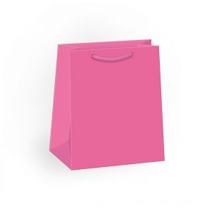 ARGUS Papírová dárková taška 07410005