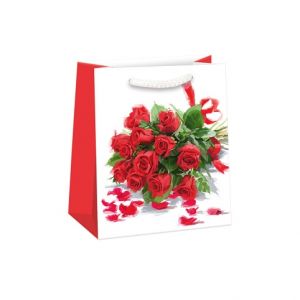 ARGUS Dárková papírová taška (19 x 23 cm) 07470702h