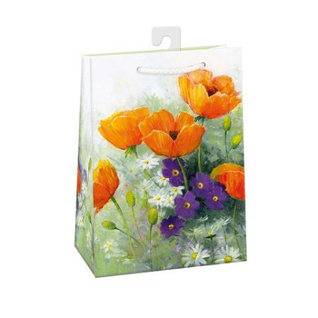 ARGUS Dárková papírová taška (23 x 32 cm) 07570747h