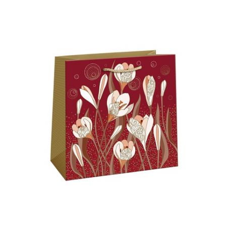 ARGUS Dárková papírová taška (24 x 24 cm) 07690169