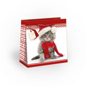 ARGUS Dárková papírová taška (16 x 16 cm) 08230397