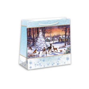 ARGUS Dárková papírová taška (16 x 16 cm) 08230427h