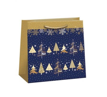 ARGUS Dárková papírová taška (18 x 18 cm) 08290132