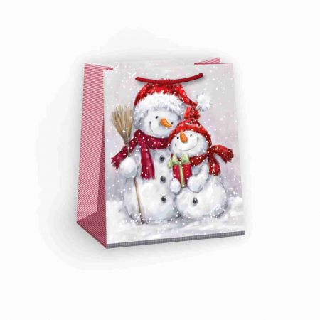 ARGUS Dárková papírová taška (19 x 23 cm) 08430377