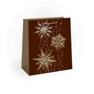 ARGUS Dárková papírová taška (20 x 24 cm) 08490124