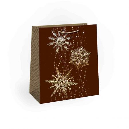 ARGUS Dárková papírová taška (20 x 24 cm) 08490124