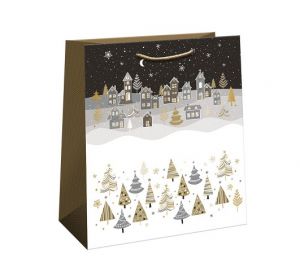 ARGUS Dárková papírová taška (20 x 24 cm) 08490127