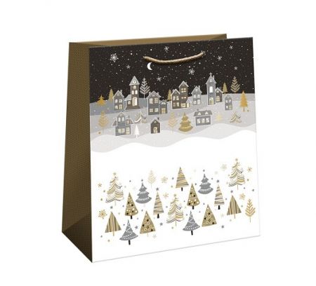 ARGUS Dárková papírová taška (20 x 24 cm) 08490127