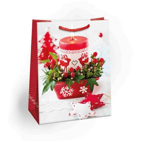 ARGUS Dárková papírová taška (29 x 38 cm) 08830400