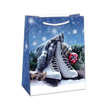 ARGUS Dárková papírová taška (29 x 38 cm) 08830419h