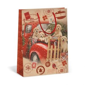 ARGUS Dárková papírová taška (31 x 41.5 cm) 08840052