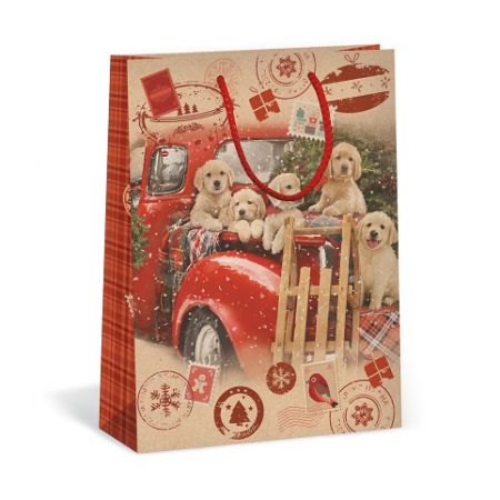 ARGUS Dárková papírová taška (31 x 41.5 cm) 08840052