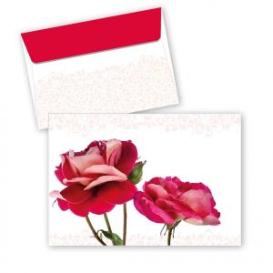 ARGUS Obálka standardní s potiskem 10715014