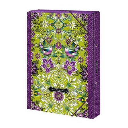 ARGUS Školní box na sešity A4 123002572