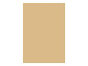 Barevný papír pro výtvarné účely A3/100listů/80g , sv. hnědý, EKO