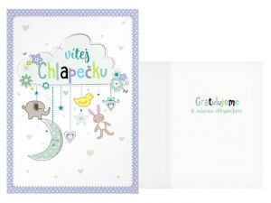 Přání k narození miminka CN-804