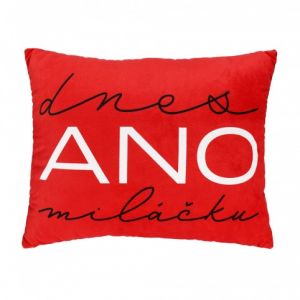 ALBI Plyšový polštář - Dnes Ano/Ne