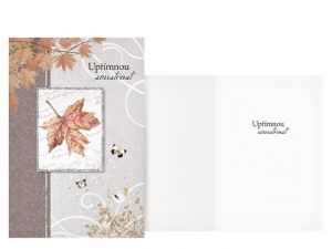 Přání kondolenční CN-773