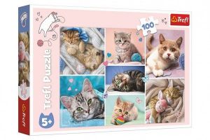 Puzzle Koťátka 41x27,5cm 100 dílků