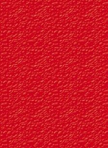 Ibiston A4 červ.zadní strana DELTA