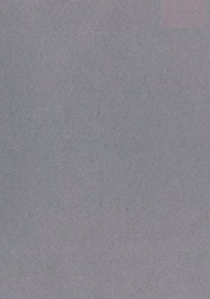 Dekorační plsť, 140 g, šedá