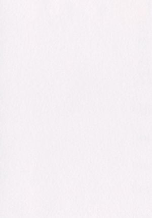 Dekorační plsť, 140 g, bílá