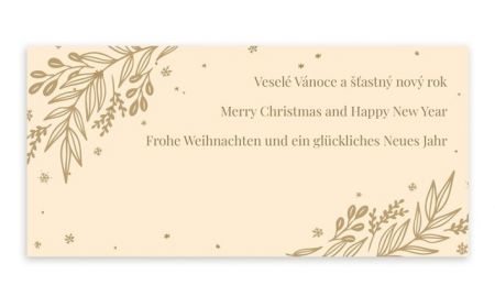 Novoročenka barevná s textem, sada 5 ks