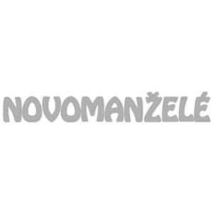 Výřez girlanda novomanželé stříbrná