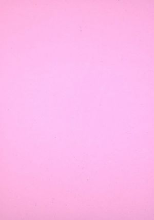 Pěnová guma, 20 x 29 cm, růžová