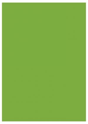 Barevný papír pro výtvarné účely A4/100listů/80g, zelený, EKO