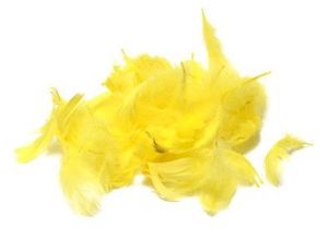 Peří Rayher, 5 g, žluté, 5-10 cm