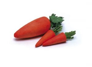 Vatová mrkev, č. 700989, 8 cm, oranžová