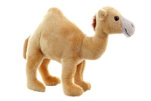 Plyš Dromedár 20 cm