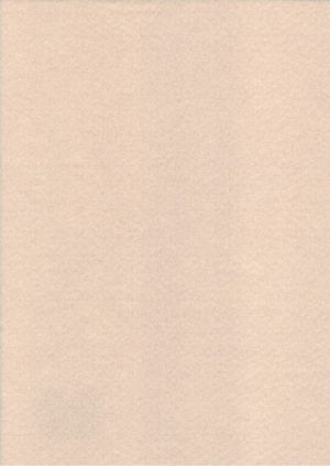 Filc béžový YC-647