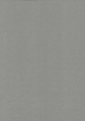 Filc šedý světlý YC-648