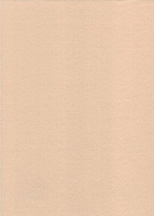 Filc tělový tan YC-661