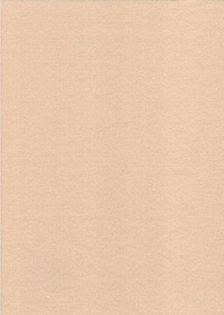 Filc tělový tan YC-661