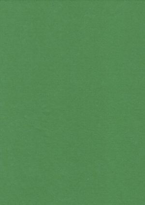 Filc zelený olivový YC-677