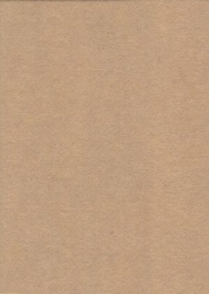 Filc žlutý pískový YC-641