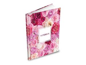 Záznamová kniha A5 MFP 100l/linka ZL5104