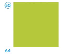 Papír A4 barevný zelený bledě