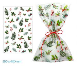 Sáček celofán barevný 25 x 40cm chvojí LUMA