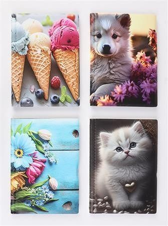 Pouzdro na průkazy "Extended personal", dívčí, 10 listů, vertikální, PVC