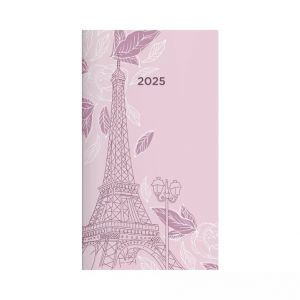 ALBI Čtrnáctidenní diář 2025 - Paříž
