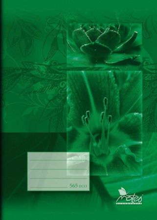 Sešit 565 A5 čtvereček 60l Eko - NOTES